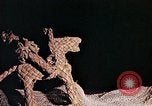 Standbild Reed und Palm Mexiko, 1941, aus Sekunde 45 historischem Filmmaterial Videoclip 65675026504