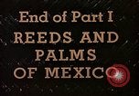 Standbild Reed und Palm Mexiko, 1941, aus Sekunde 54 historischem Filmmaterial Videoclip 65675026504