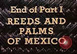 Standbild Reed und Palm Mexiko, 1941, aus Sekunde 55 historischem Filmmaterial Videoclip 65675026504