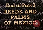 Standbild Reed und Palm Mexiko, 1941, aus Sekunde 56 historischem Filmmaterial Videoclip 65675026504