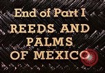 Standbild Reed und Palm Mexiko, 1941, aus Sekunde 58 historischem Filmmaterial Videoclip 65675026504
