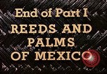Standbild Reed und Palm Mexiko, 1941, aus Sekunde 59 historischem Filmmaterial Videoclip 65675026504