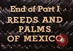Standbild Reed und Palm Mexiko, 1941, aus Sekunde 61 historischem Filmmaterial Videoclip 65675026504