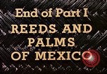 Standbild Reed und Palm Mexiko, 1941, aus Sekunde 62 historischem Filmmaterial Videoclip 65675026504