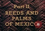 Standbild Reed und Palm Mexiko, 1941, aus Sekunde 3 historischem Filmmaterial Videoclip 65675026505