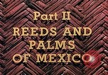 Standbild Reed und Palm Mexiko, 1941, aus Sekunde 4 historischem Filmmaterial Videoclip 65675026505