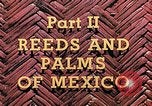Standbild Reed und Palm Mexiko, 1941, aus Sekunde 5 historischem Filmmaterial Videoclip 65675026505