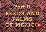 Standbild Reed und Palm Mexiko, 1941, aus Sekunde 8 historischem Filmmaterial Videoclip 65675026505