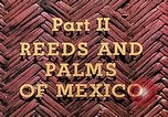 Standbild Reed und Palm Mexiko, 1941, aus Sekunde 14 historischem Filmmaterial Videoclip 65675026505