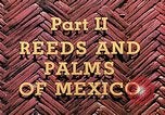 Standbild Reed und Palm Mexiko, 1941, aus Sekunde 15 historischem Filmmaterial Videoclip 65675026505