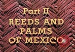 Standbild Reed und Palm Mexiko, 1941, aus Sekunde 16 historischem Filmmaterial Videoclip 65675026505