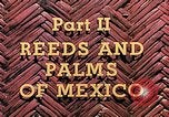 Standbild Reed und Palm Mexiko, 1941, aus Sekunde 17 historischem Filmmaterial Videoclip 65675026505