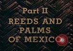 Standbild Reed und Palm Mexiko, 1941, aus Sekunde 19 historischem Filmmaterial Videoclip 65675026505