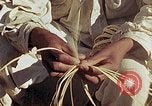 Standbild Reed und Palm Mexiko, 1941, aus Sekunde 18 historischem Filmmaterial Videoclip 65675026506