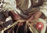 Standbild Reed und Palm Mexiko, 1941, aus Sekunde 19 historischem Filmmaterial Videoclip 65675026506
