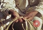 Standbild Reed und Palm Mexiko, 1941, aus Sekunde 21 historischem Filmmaterial Videoclip 65675026506