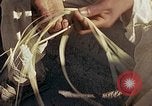 Standbild Reed und Palm Mexiko, 1941, aus Sekunde 38 historischem Filmmaterial Videoclip 65675026506