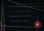 Standbild Reed und Palm Mexiko, 1941, aus Sekunde 1 historischem Filmmaterial Videoclip 65675026508