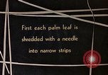 Standbild Reed und Palm Mexiko, 1941, aus Sekunde 14 historischem Filmmaterial Videoclip 65675026508