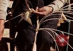 Standbild Reed und Palm Mexiko, 1941, aus Sekunde 15 historischem Filmmaterial Videoclip 65675026508