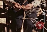 Standbild Reed und Palm Mexiko, 1941, aus Sekunde 16 historischem Filmmaterial Videoclip 65675026508