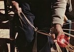 Standbild Reed und Palm Mexiko, 1941, aus Sekunde 17 historischem Filmmaterial Videoclip 65675026508