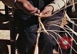 Standbild Reed und Palm Mexiko, 1941, aus Sekunde 19 historischem Filmmaterial Videoclip 65675026508