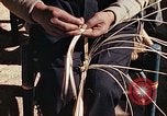 Standbild Reed und Palm Mexiko, 1941, aus Sekunde 20 historischem Filmmaterial Videoclip 65675026508