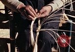 Standbild Reed und Palm Mexiko, 1941, aus Sekunde 23 historischem Filmmaterial Videoclip 65675026508