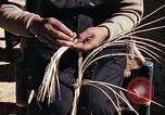 Standbild Reed und Palm Mexiko, 1941, aus Sekunde 35 historischem Filmmaterial Videoclip 65675026508