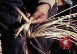 Standbild Reed und Palm Mexiko, 1941, aus Sekunde 44 historischem Filmmaterial Videoclip 65675026508