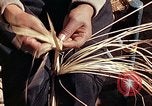 Standbild Reed und Palm Mexiko, 1941, aus Sekunde 45 historischem Filmmaterial Videoclip 65675026508