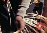 Standbild Reed und Palm Mexiko, 1941, aus Sekunde 47 historischem Filmmaterial Videoclip 65675026508