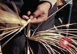 Standbild Reed und Palm Mexiko, 1941, aus Sekunde 53 historischem Filmmaterial Videoclip 65675026508