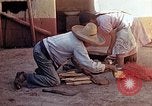 Standbild Reed und Palm Mexiko, 1941, aus Sekunde 11 historischem Filmmaterial Videoclip 65675026509