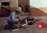 Standbild Reed und Palm Mexiko, 1941, aus Sekunde 26 historischem Filmmaterial Videoclip 65675026509