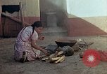 Standbild Reed und Palm Mexiko, 1941, aus Sekunde 41 historischem Filmmaterial Videoclip 65675026509