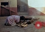 Standbild Reed und Palm Mexiko, 1941, aus Sekunde 45 historischem Filmmaterial Videoclip 65675026509