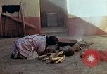 Standbild Reed und Palm Mexiko, 1941, aus Sekunde 46 historischem Filmmaterial Videoclip 65675026509