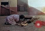 Standbild Reed und Palm Mexiko, 1941, aus Sekunde 47 historischem Filmmaterial Videoclip 65675026509