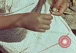 Standbild Reed und Palm Mexiko, 1941, aus Sekunde 22 historischem Filmmaterial Videoclip 65675026510