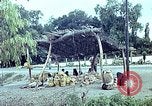 Standbild Verwendung von Reed und Palm Mexiko, 1941, aus Sekunde 34 historischem Filmmaterial Videoclip 65675026511