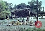 Standbild Verwendung von Reed und Palm Mexiko, 1941, aus Sekunde 35 historischem Filmmaterial Videoclip 65675026511