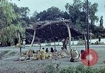 Standbild Verwendung von Reed und Palm Mexiko, 1941, aus Sekunde 37 historischem Filmmaterial Videoclip 65675026511