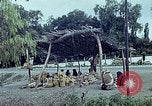 Standbild Verwendung von Reed und Palm Mexiko, 1941, aus Sekunde 38 historischem Filmmaterial Videoclip 65675026511