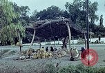 Standbild Verwendung von Reed und Palm Mexiko, 1941, aus Sekunde 39 historischem Filmmaterial Videoclip 65675026511