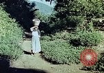 Standbild Reed und Palm Mexiko, 1941, aus Sekunde 17 historischem Filmmaterial Videoclip 65675026512