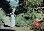 Standbild Reed und Palm Mexiko, 1941, aus Sekunde 19 historischem Filmmaterial Videoclip 65675026512
