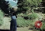 Standbild Reed und Palm Mexiko, 1941, aus Sekunde 22 historischem Filmmaterial Videoclip 65675026512