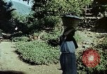 Standbild Reed und Palm Mexiko, 1941, aus Sekunde 24 historischem Filmmaterial Videoclip 65675026512